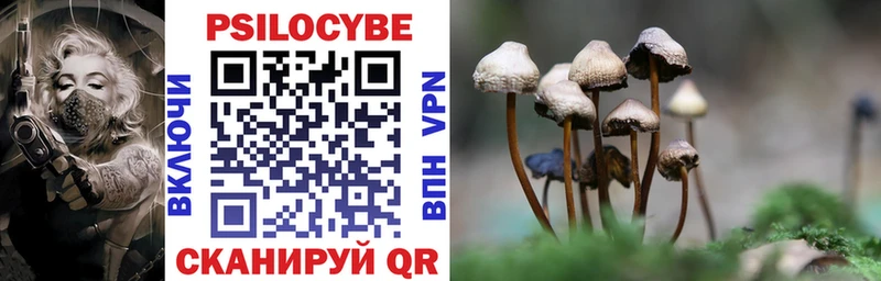 Купить где  Анапа  Галлюциногенные грибы Magic Shrooms 